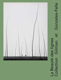 Couverture de La Beauté des lignes - Collection Gilman et Gonzalez-Falla