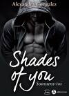 Shades of You, Tome 1 : Souviens-toi