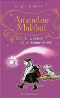 Amandine Malabul, Tome 7 : La Sorcière et sa bonne étoile