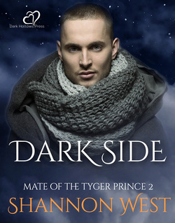 Couverture de Mate of the Tyger Prince, Tome 2 : Dark Side