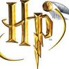 Phrases cultes dans Harry Potter